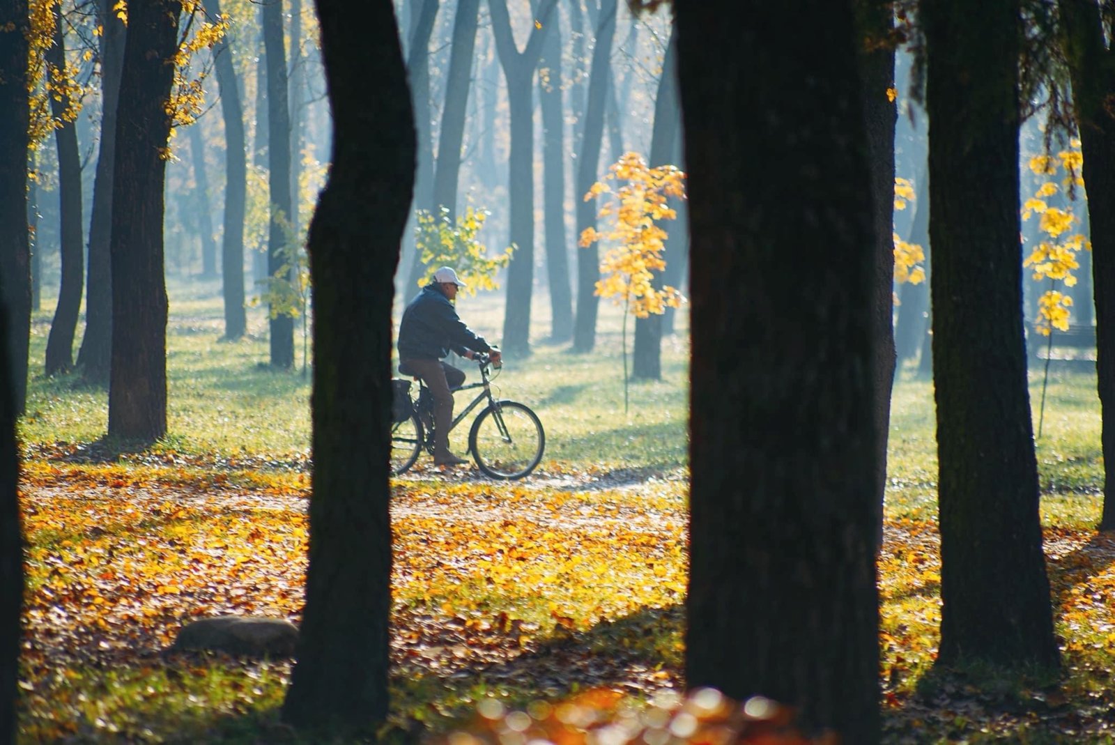 Rower a zdrowie psychiczne – korzyści płynące z regularnej jazdy