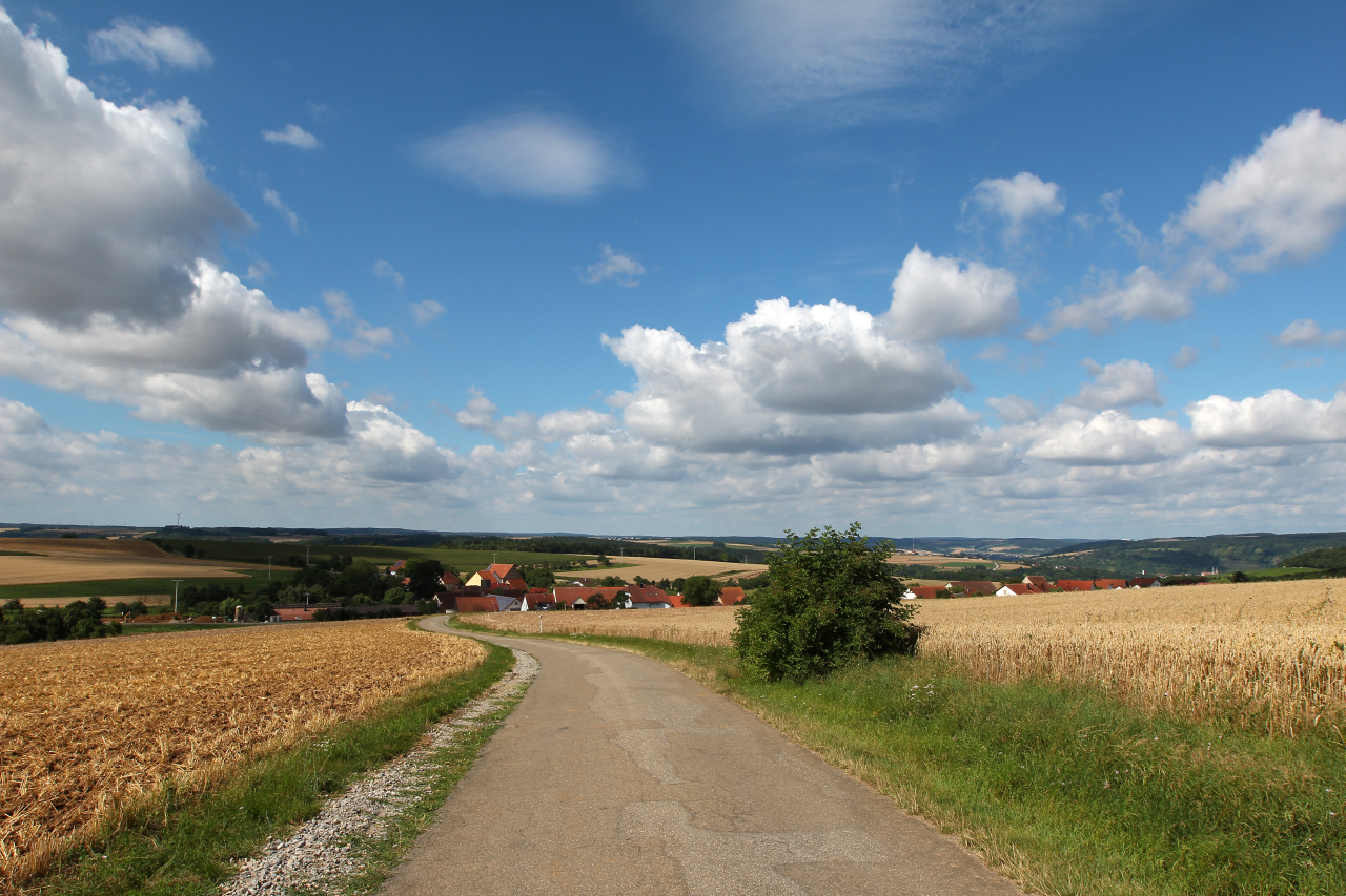 Jura Krakowsko-Częstochowska na rowerze – najlepsze trasy i atrakcje