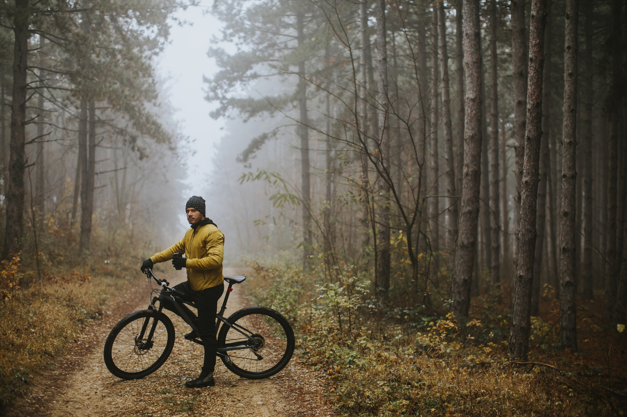Trasa rowerowa przez Puszczę Białowieską
